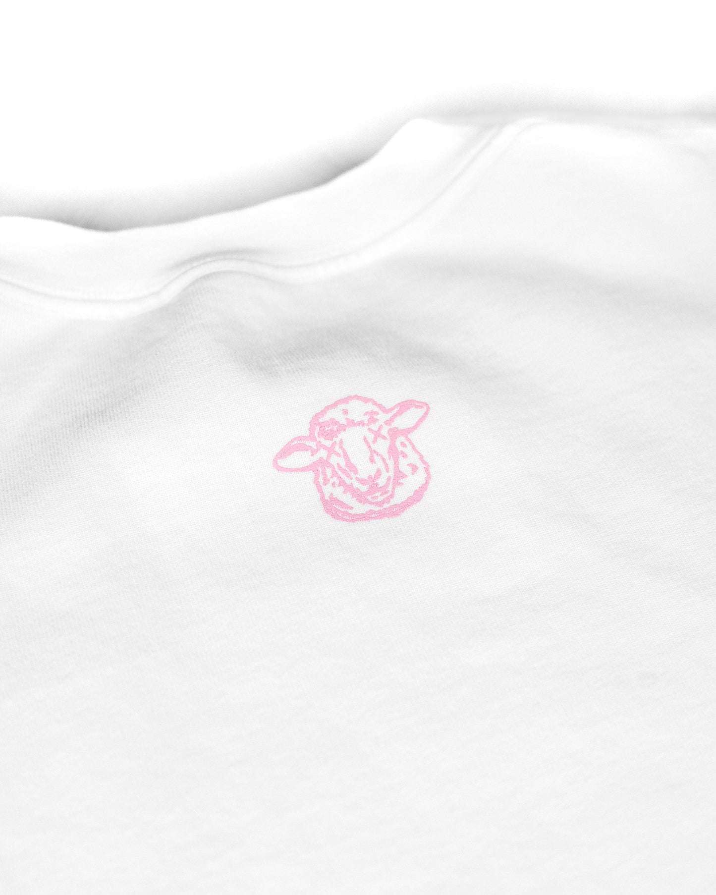 Crew Sweatshirt Pink
